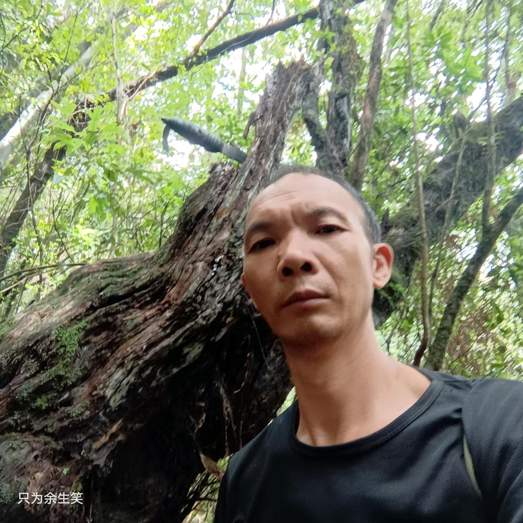 羊吃刀割草