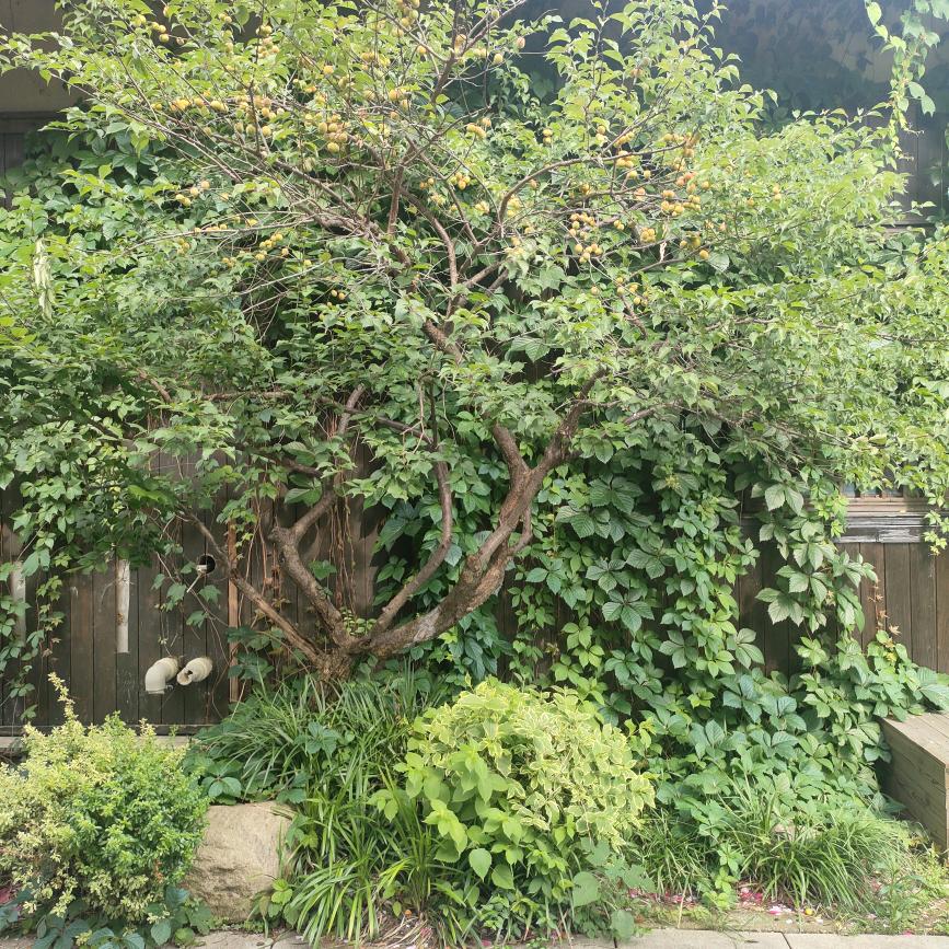 八方来财