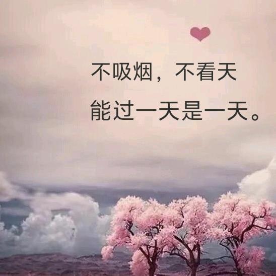 哦   心心
