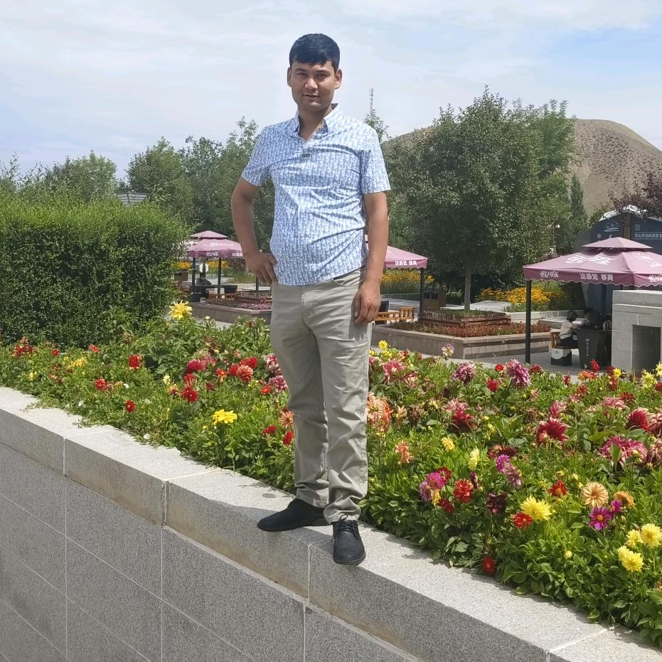 阿卜力米提江的刀郎羊