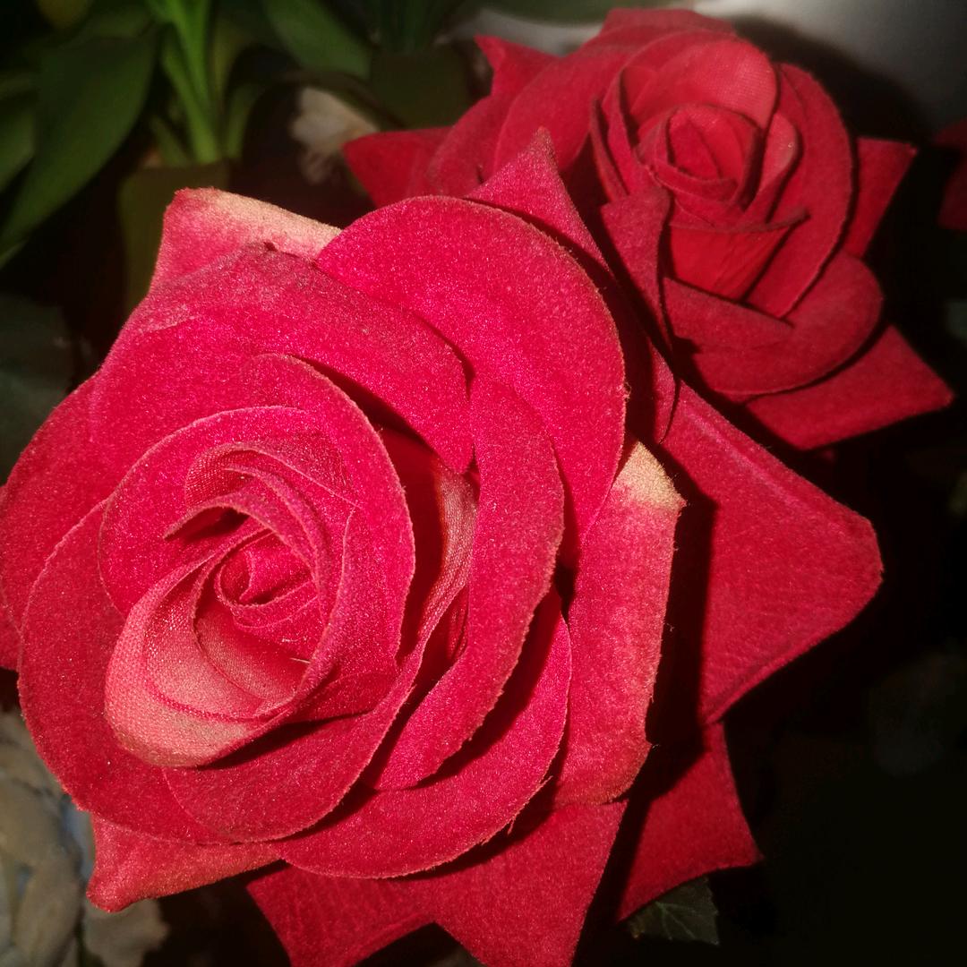 凡是过往／皆可陪伴