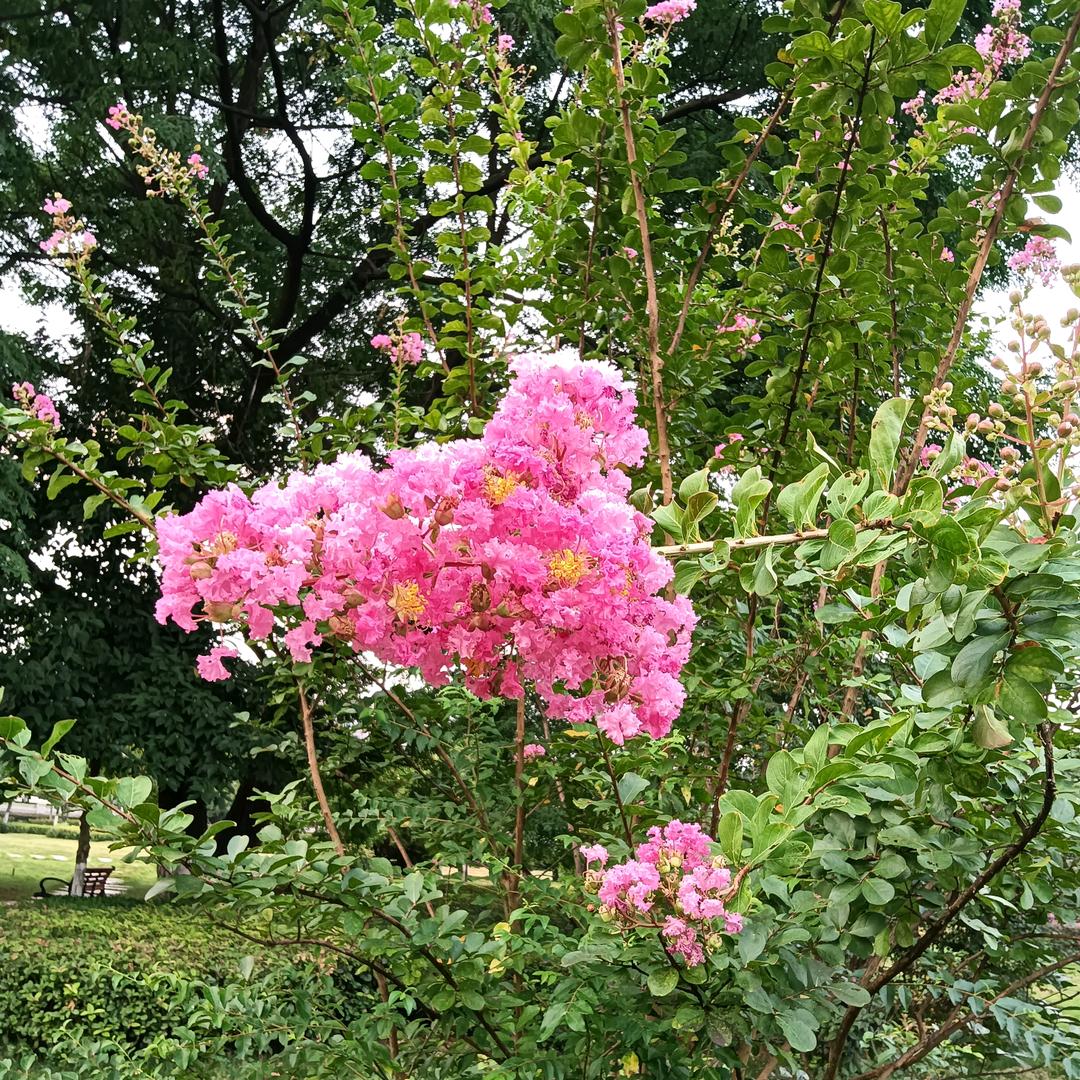 觉醒