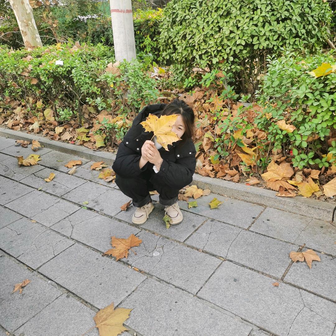 黑土地铁锅炖（枣阳店)