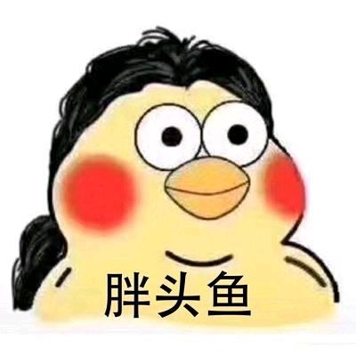 抛竿钓胖头