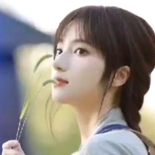 美时美刻   情感音乐