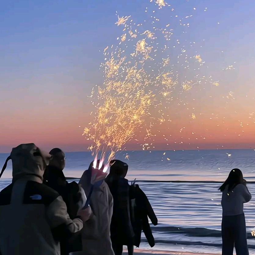 苗高阳珠瑾科技