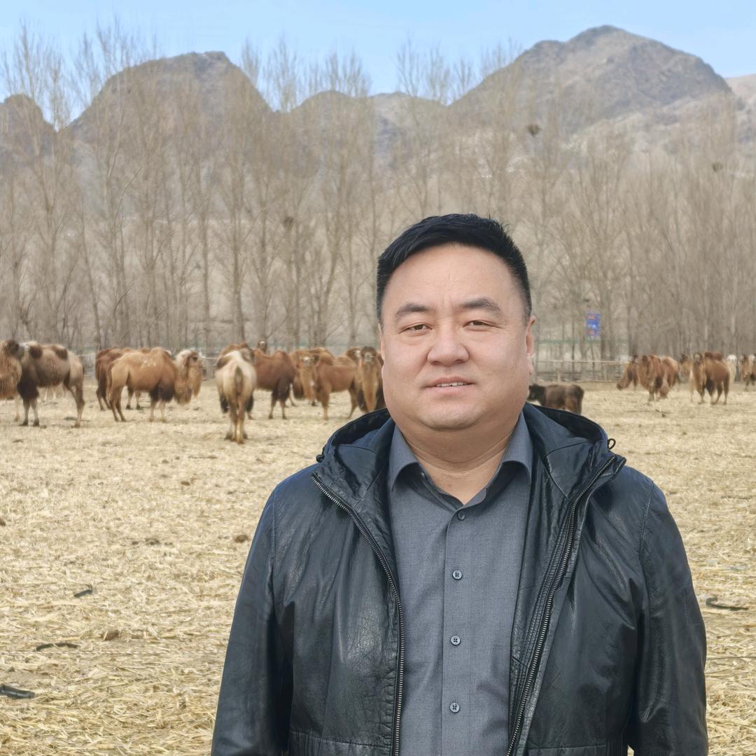 羊群里骆驼.驼肉馅饼馄饨官方号