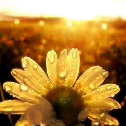 马鞍山市龚庭鼻炎馆健康路八中旁。