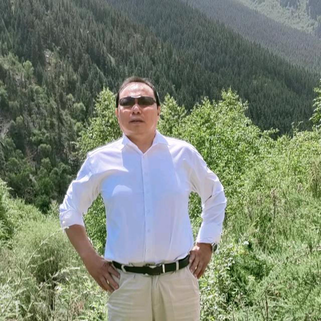 春风度杨柳