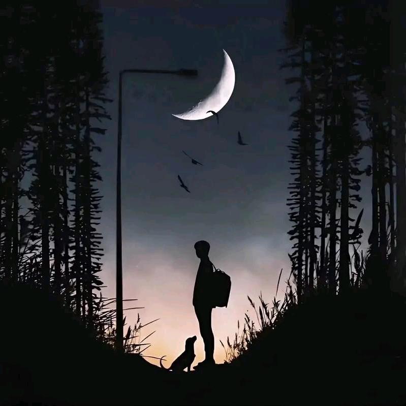 我不是你的提款机