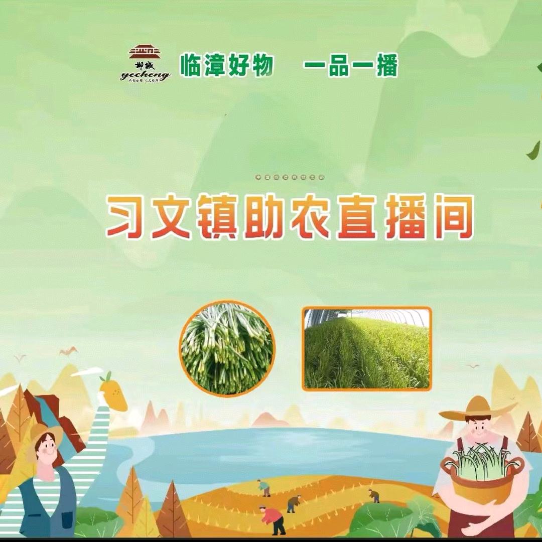 习文镇“一品一播”好物优选