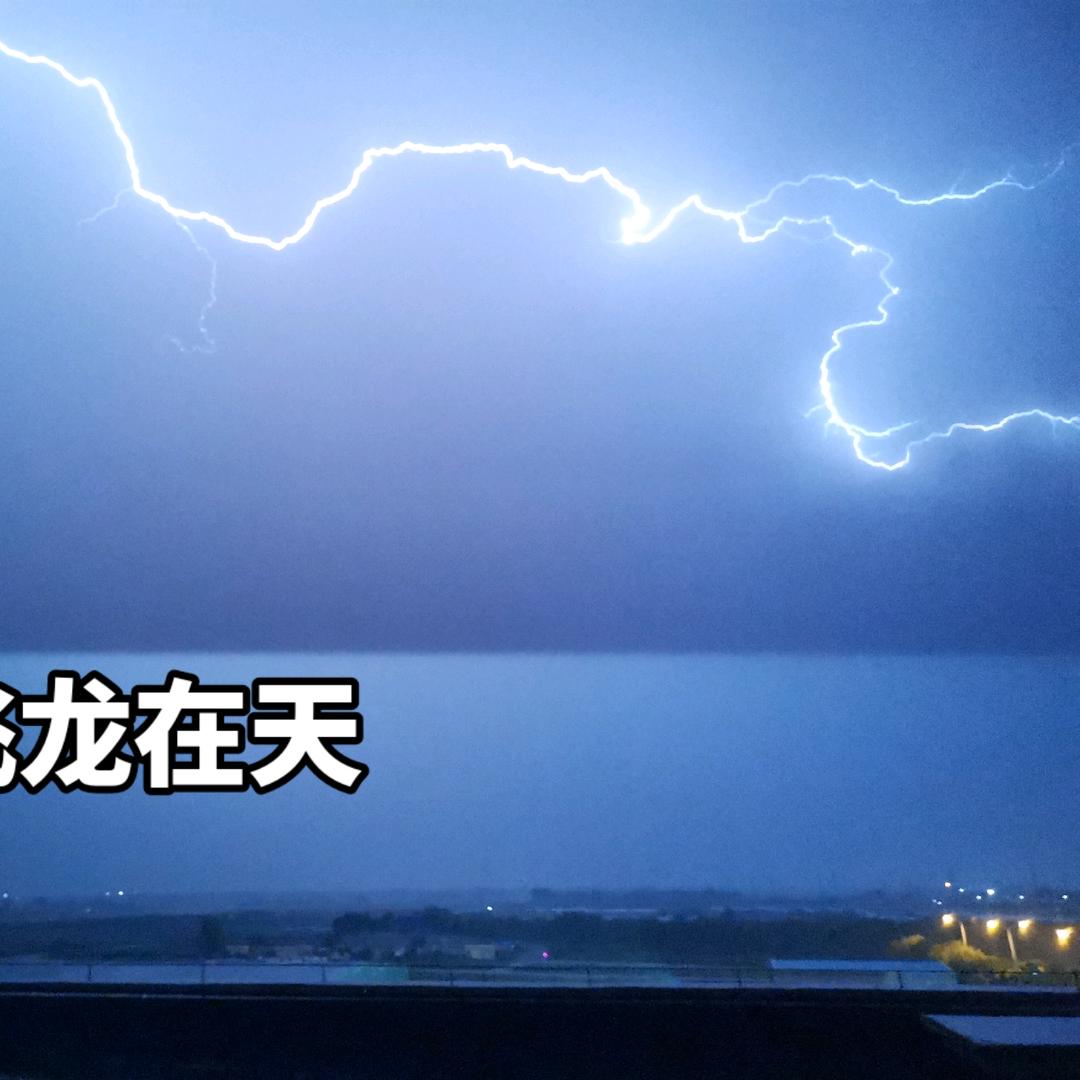 老马
