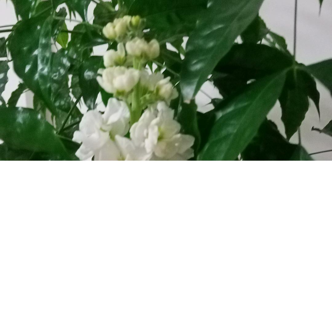 可爱奶奶😊