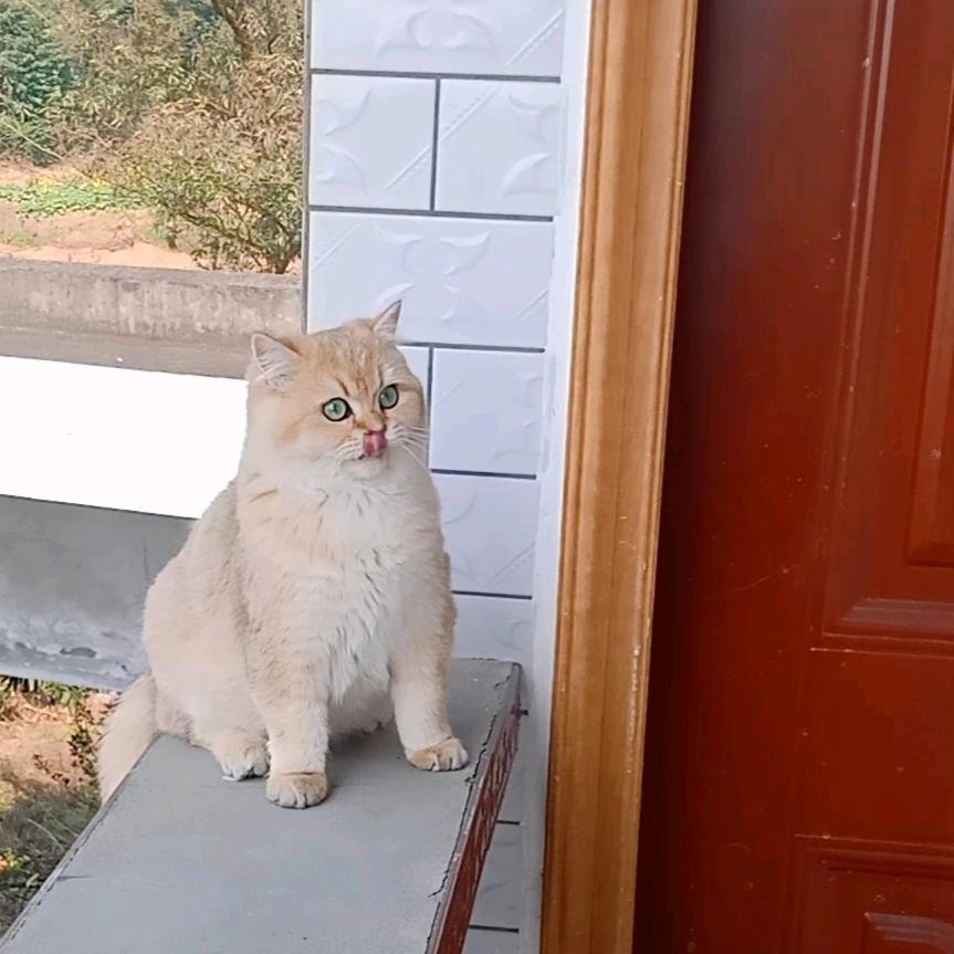 杨敏