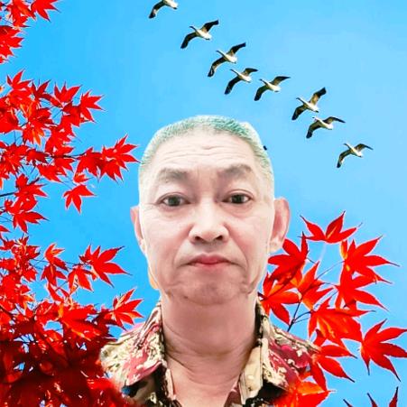 （双喜“候鸟”“养生”）