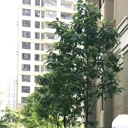 日常号，好物推荐
