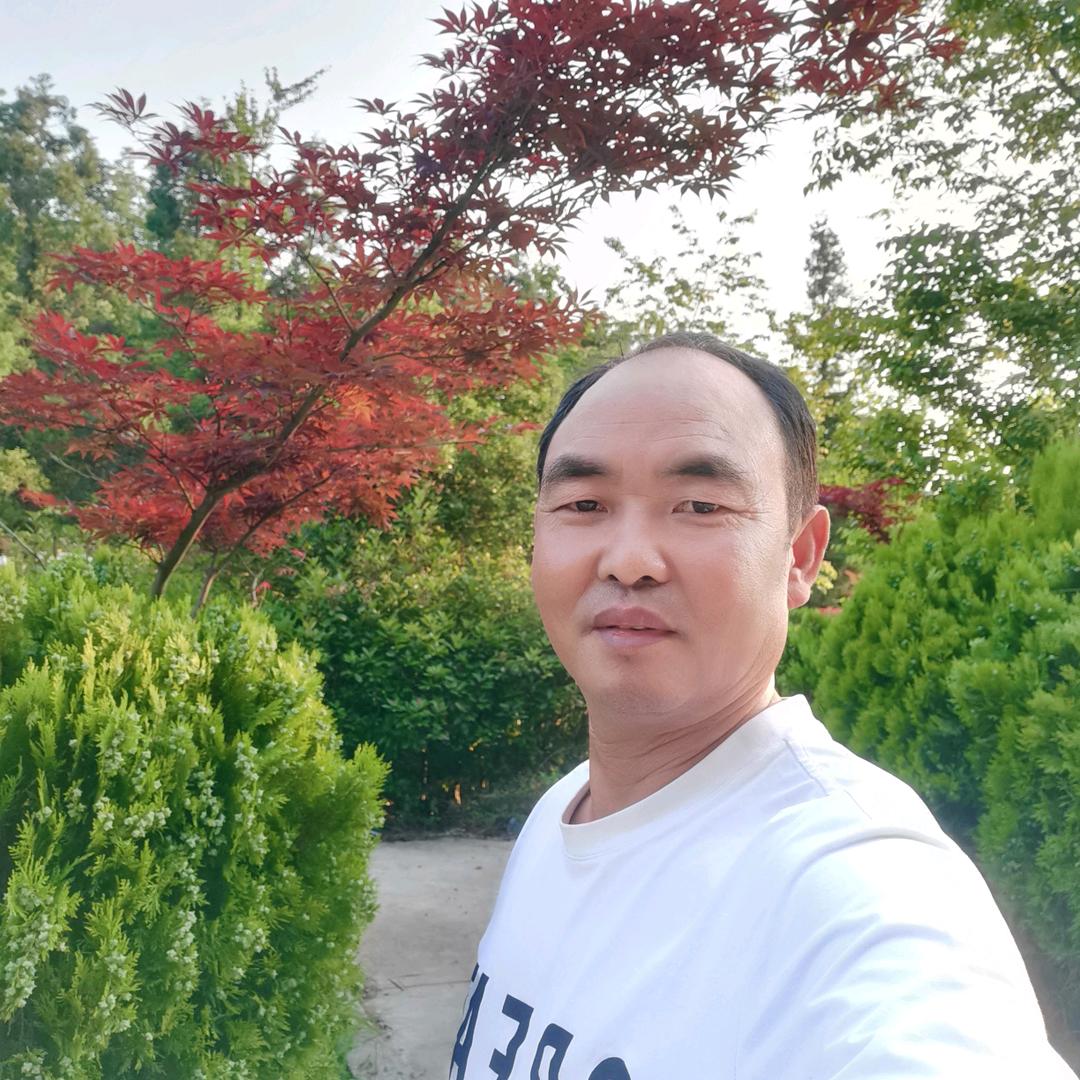 闪烁人生