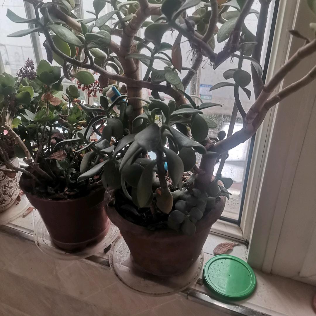 时间秒杀一切