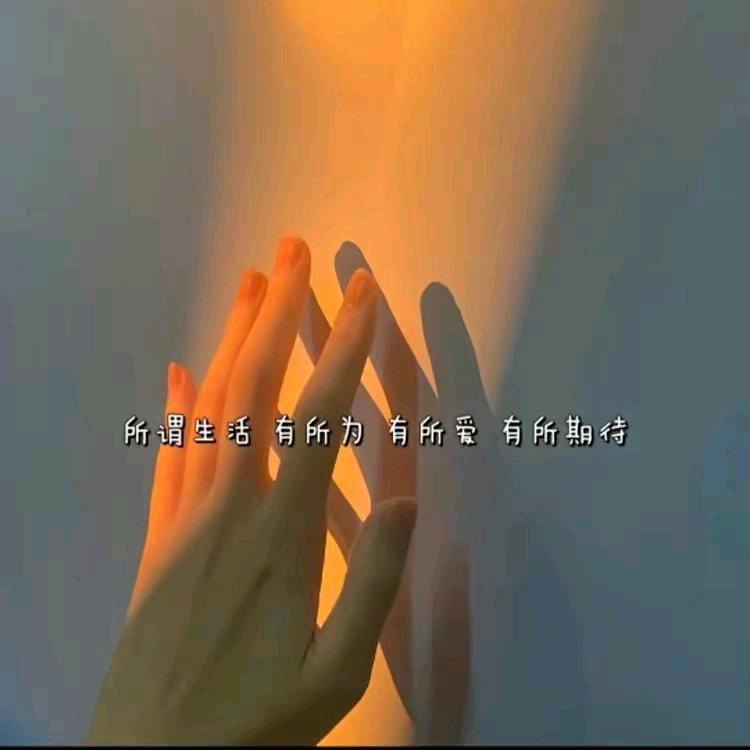 张不胖8044