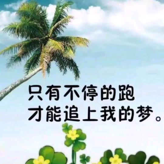 🐝五月🐝