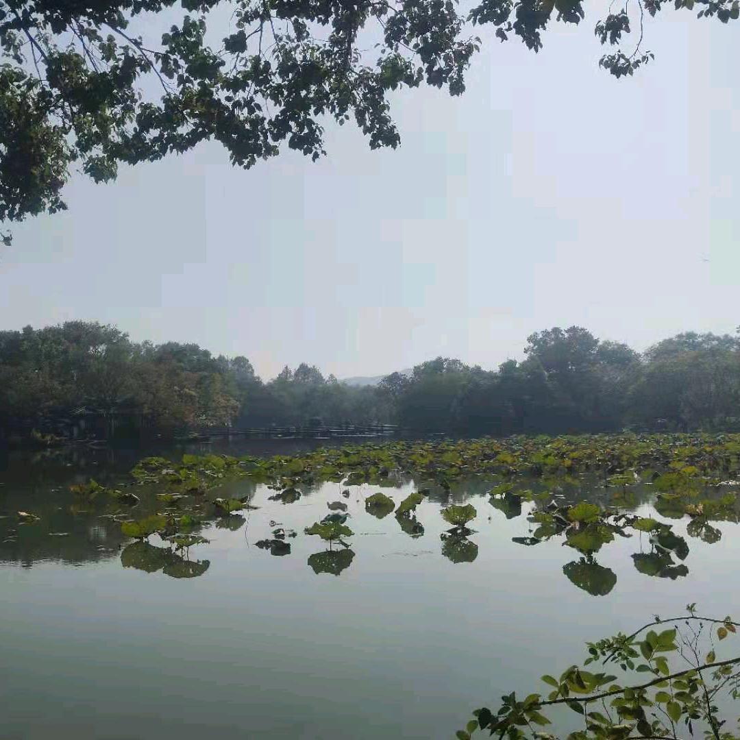 诠释淡然