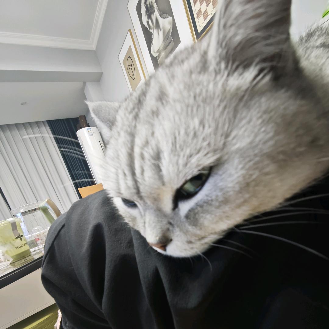 再给我两份葱