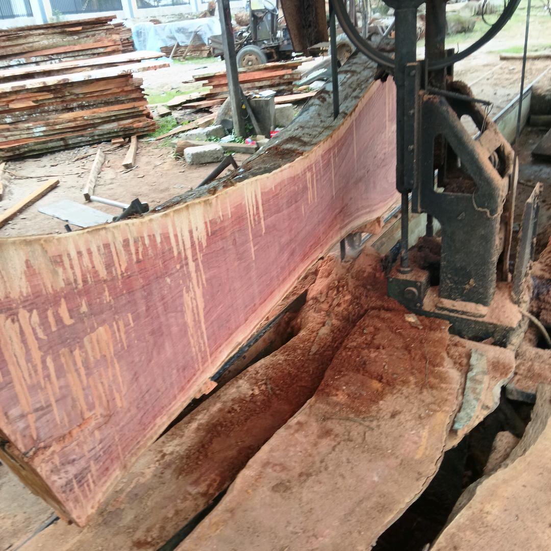 文昌东路花家花卉店