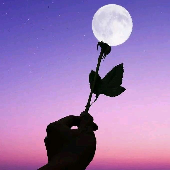 ￴      ’:人生若只如初见