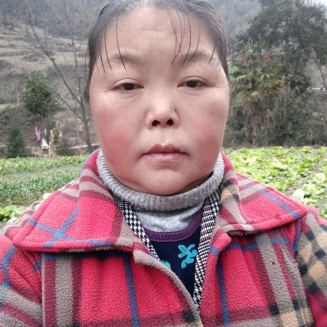 岁月姐经验分享(晚上八点二十)