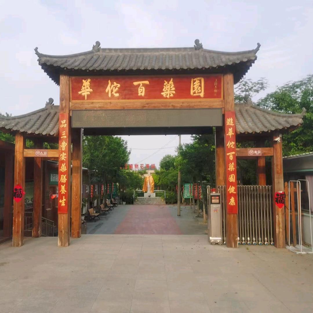 华佗百药园.闪闪（小号）