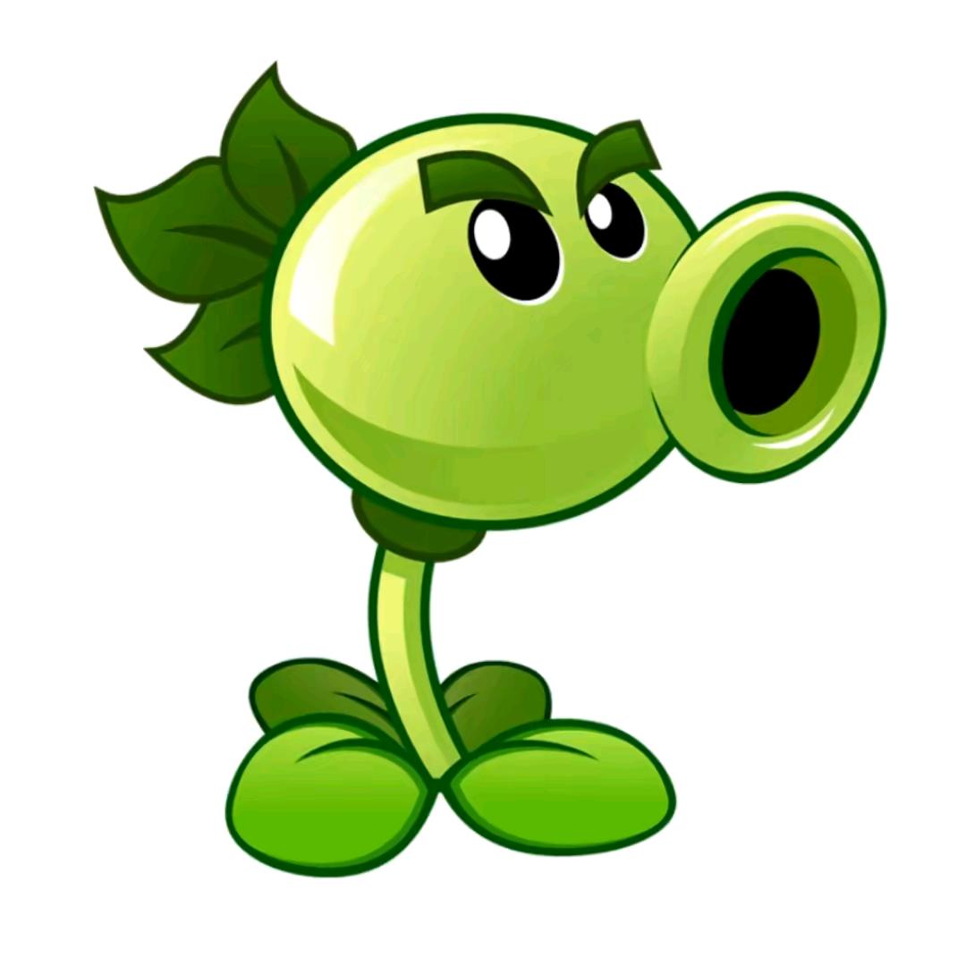 🟢🟢🟢🟢🟢🟢🟢🟢