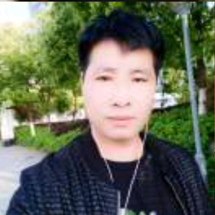 网络寻知音💔杨💔