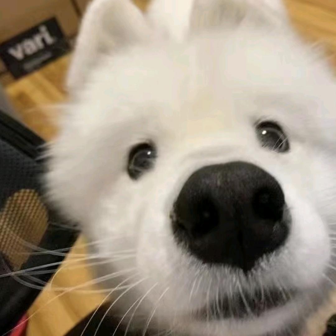 还会和我说晚安吗