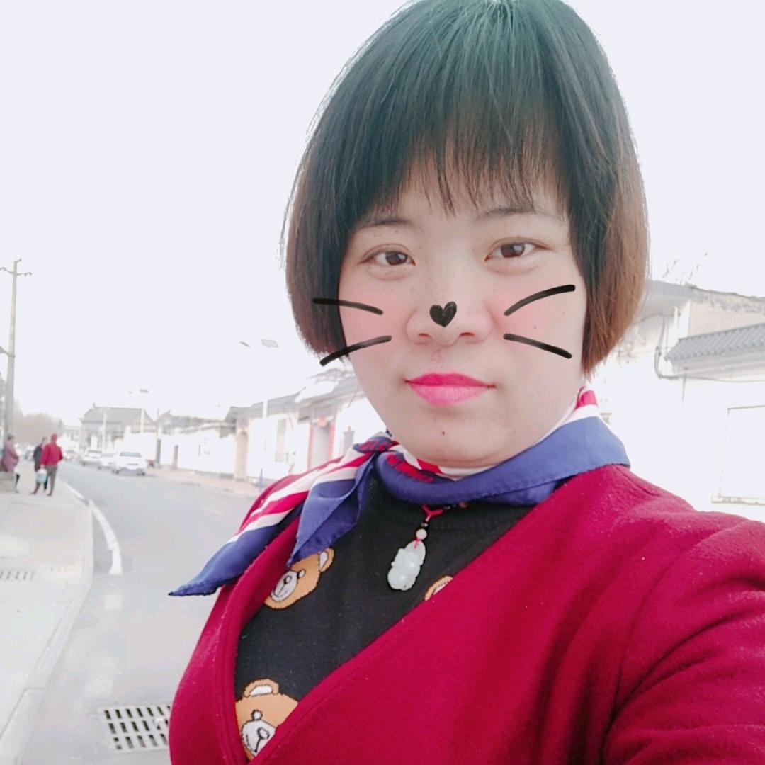 ╭(╯燕南飞╰)╮