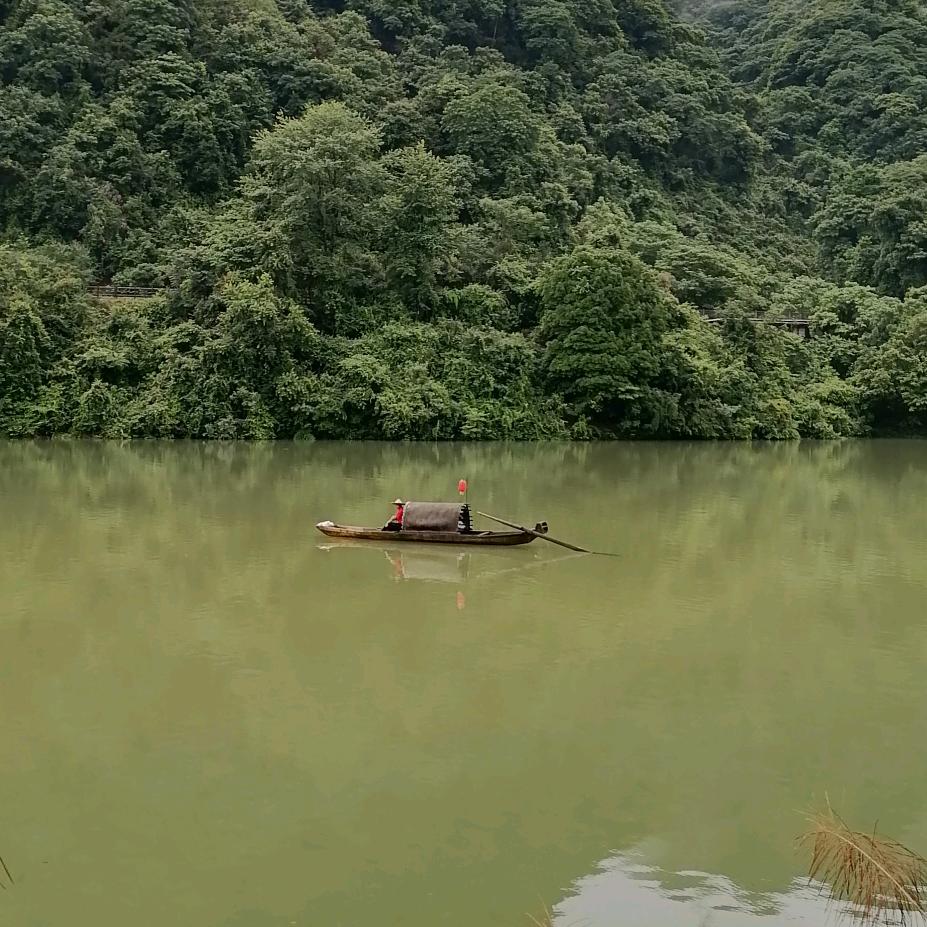 小丽爱生活@