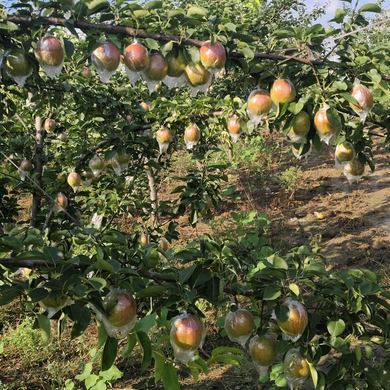 坦荡做人，无愧于心