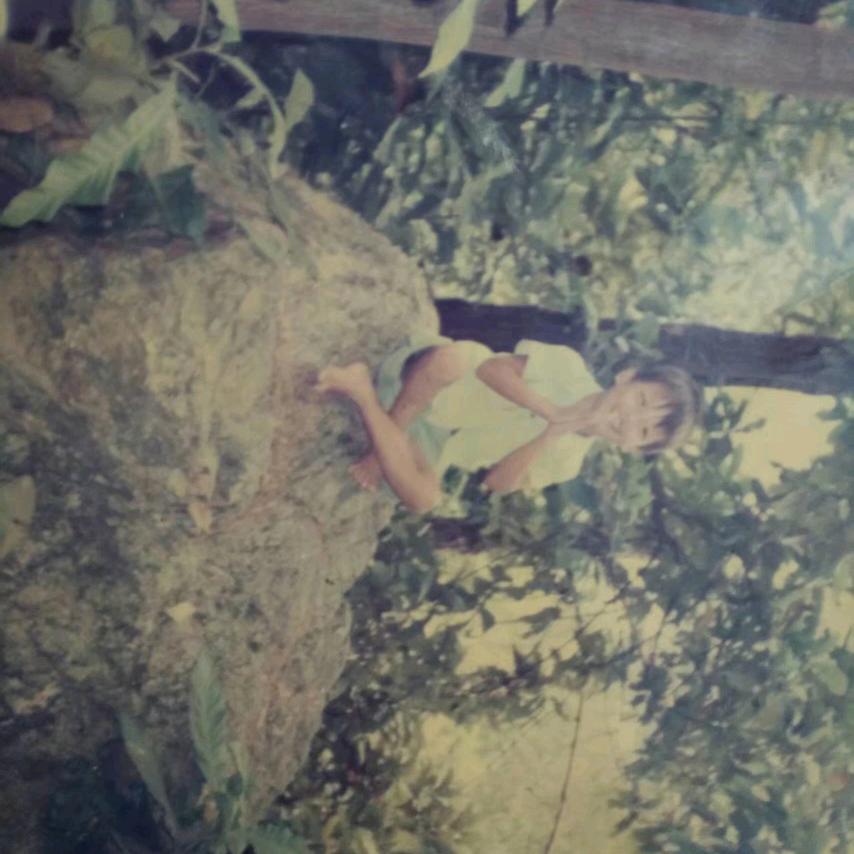 攻略不变，永守本意