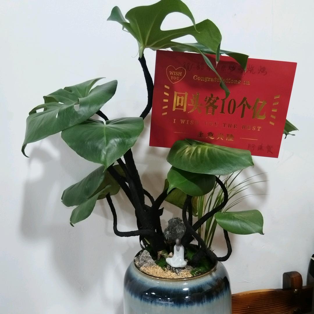 靠谁不如靠自己