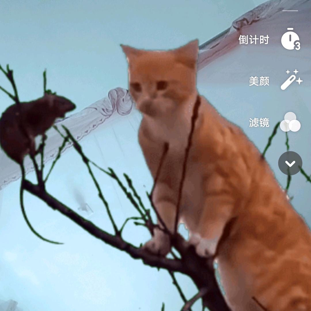 爱情故事&