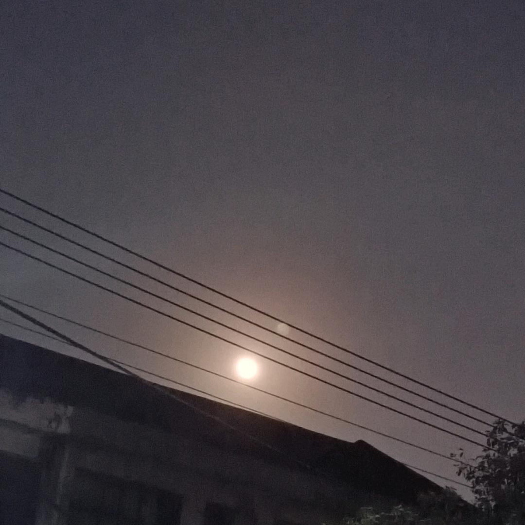 叶落凡尘