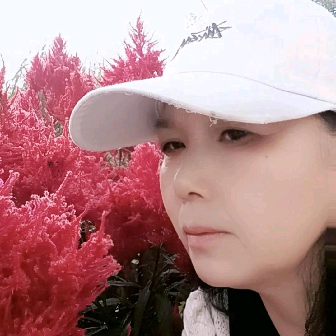 无奈的人生