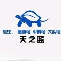 天之蓝 鹰嘴龟养殖场 收龟