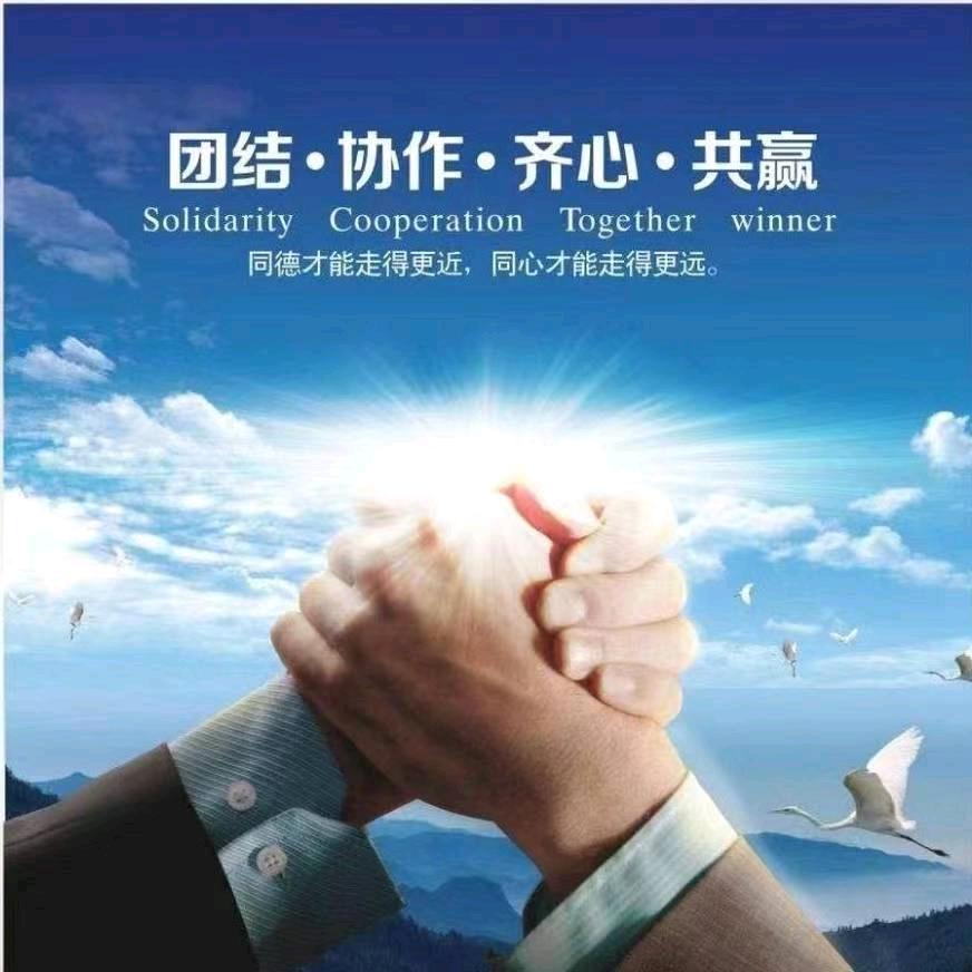 阿阳装卸团队