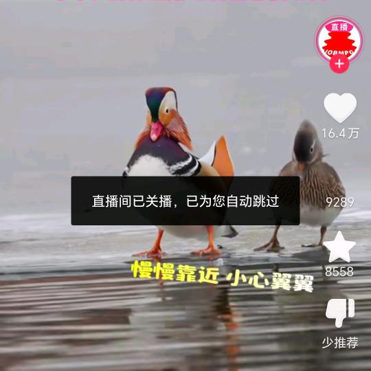 晓确信