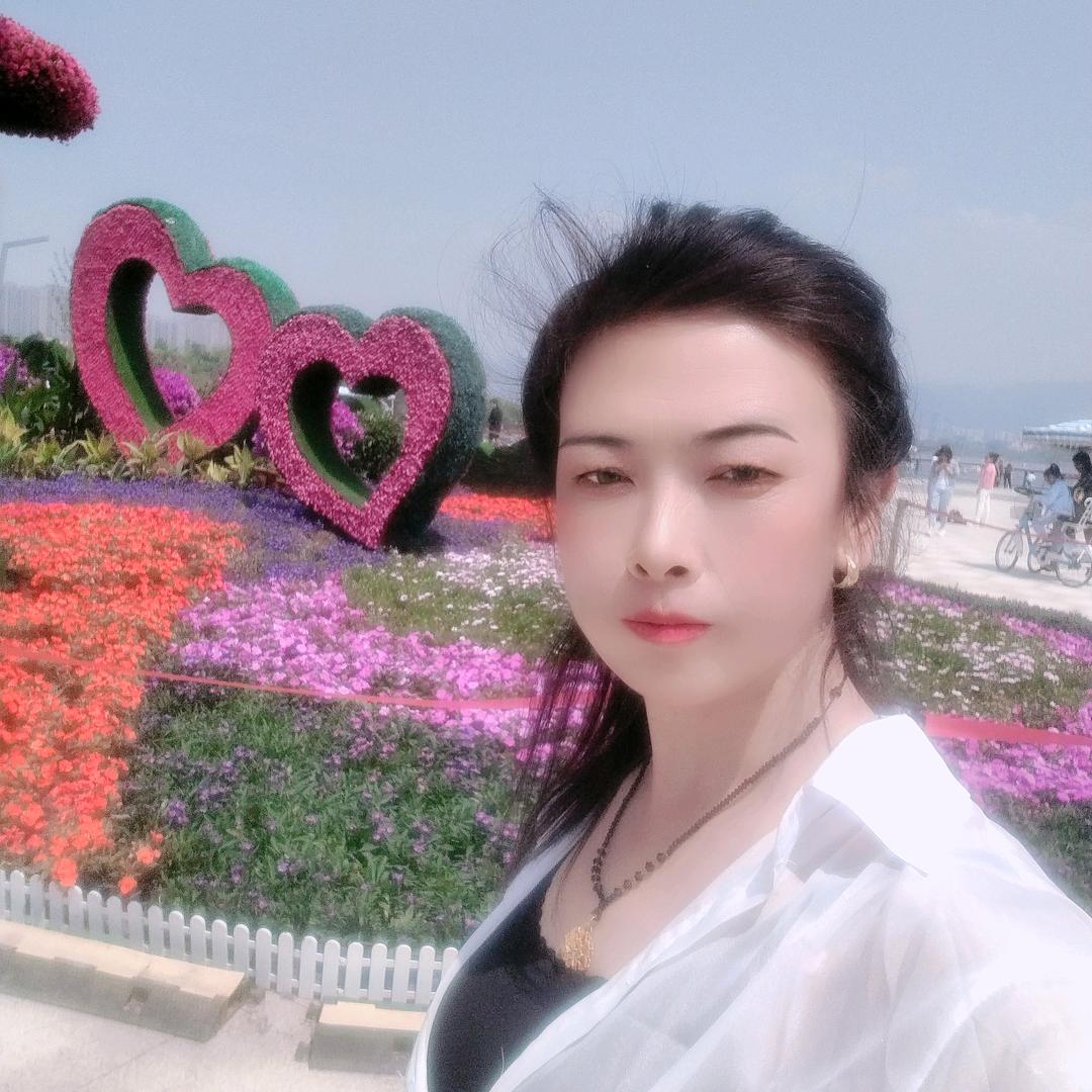 静如止水，穆如清风