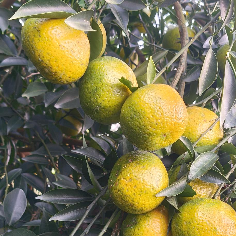 🌈利   仔   哥🌈