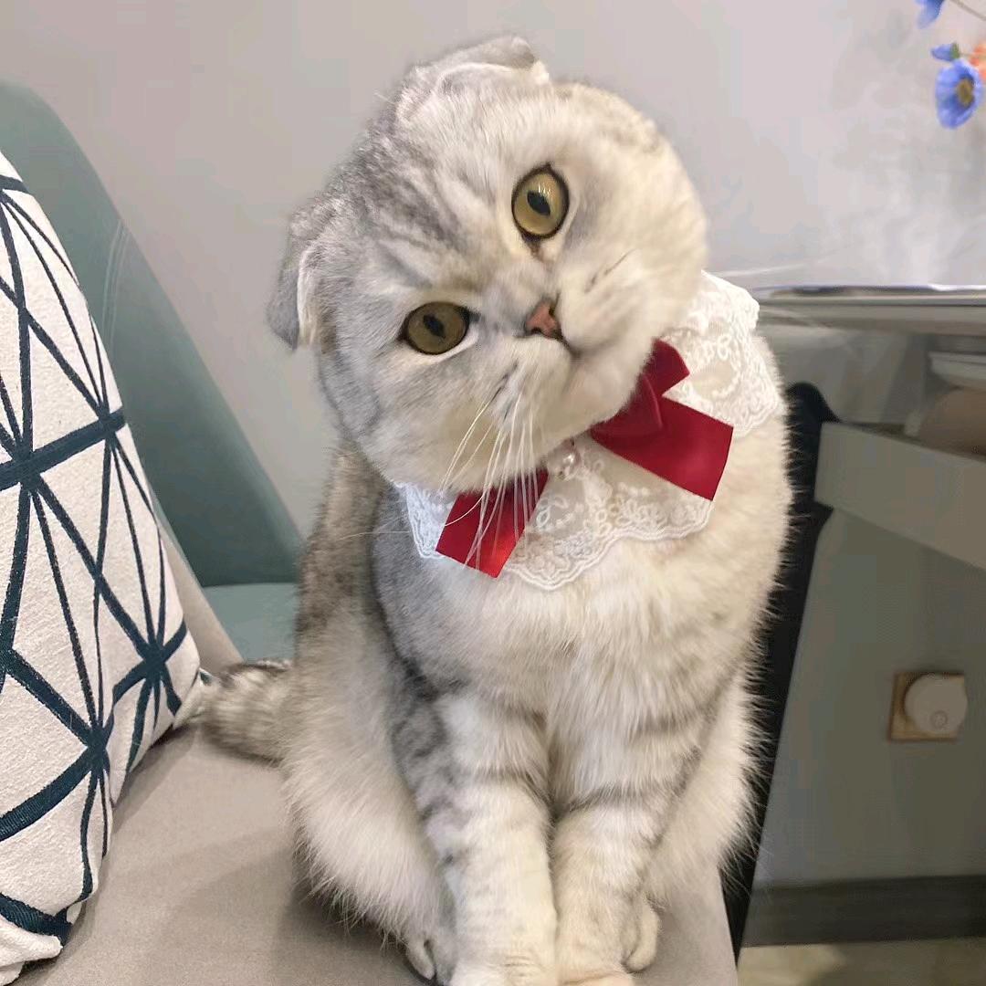 姐就是我拒绝私聊