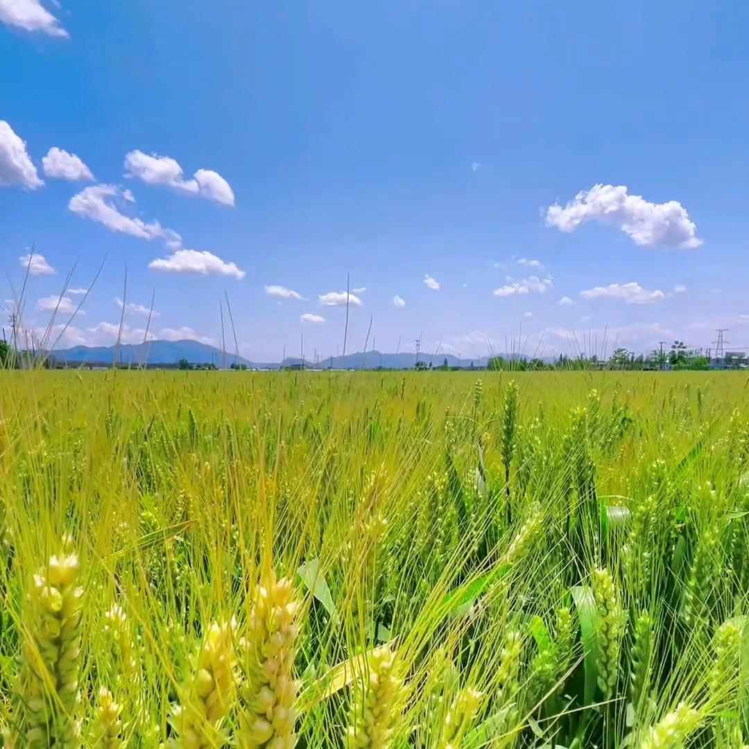 我在驾校等你～ Rong County