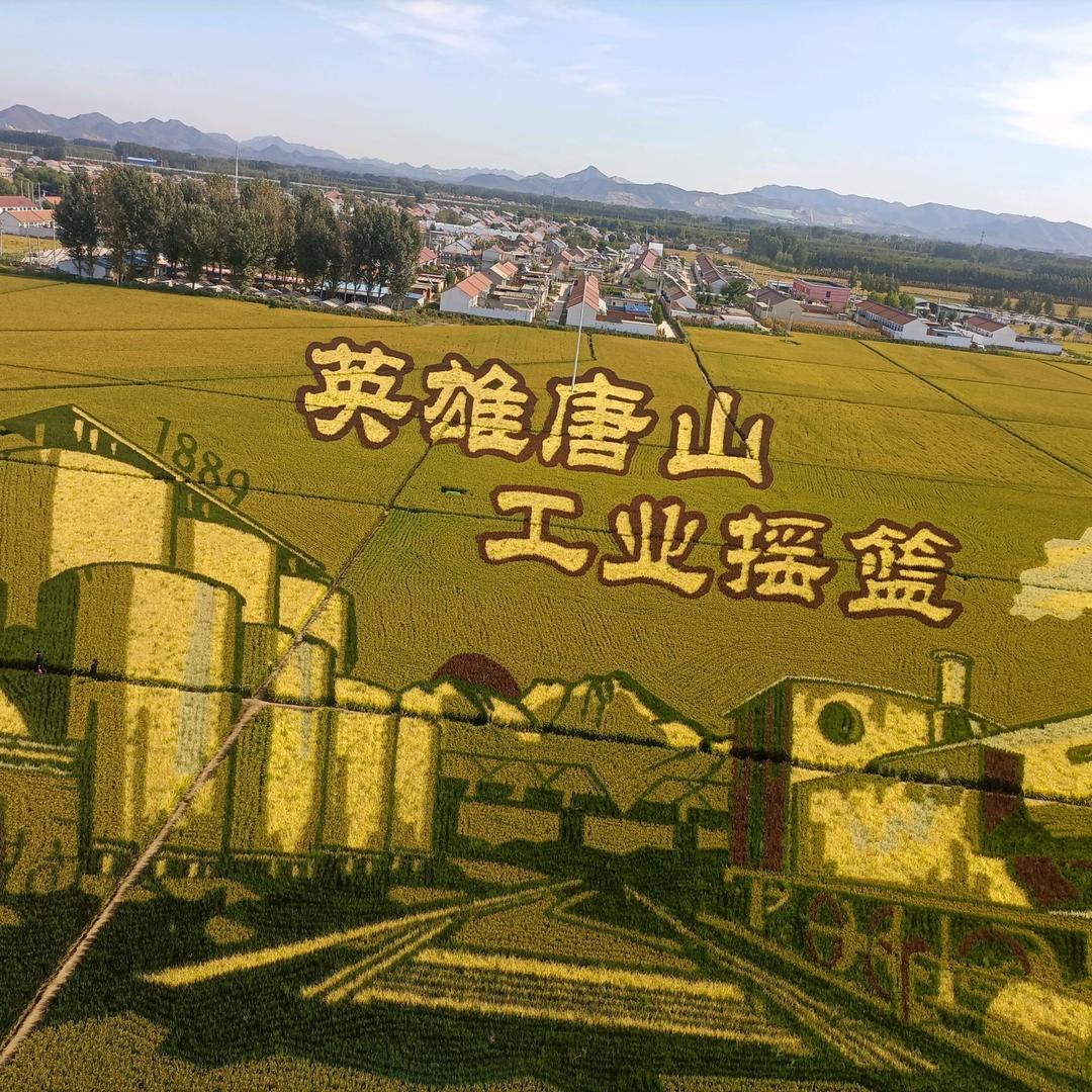《蓝精灵》头像