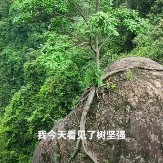 方圆钣金